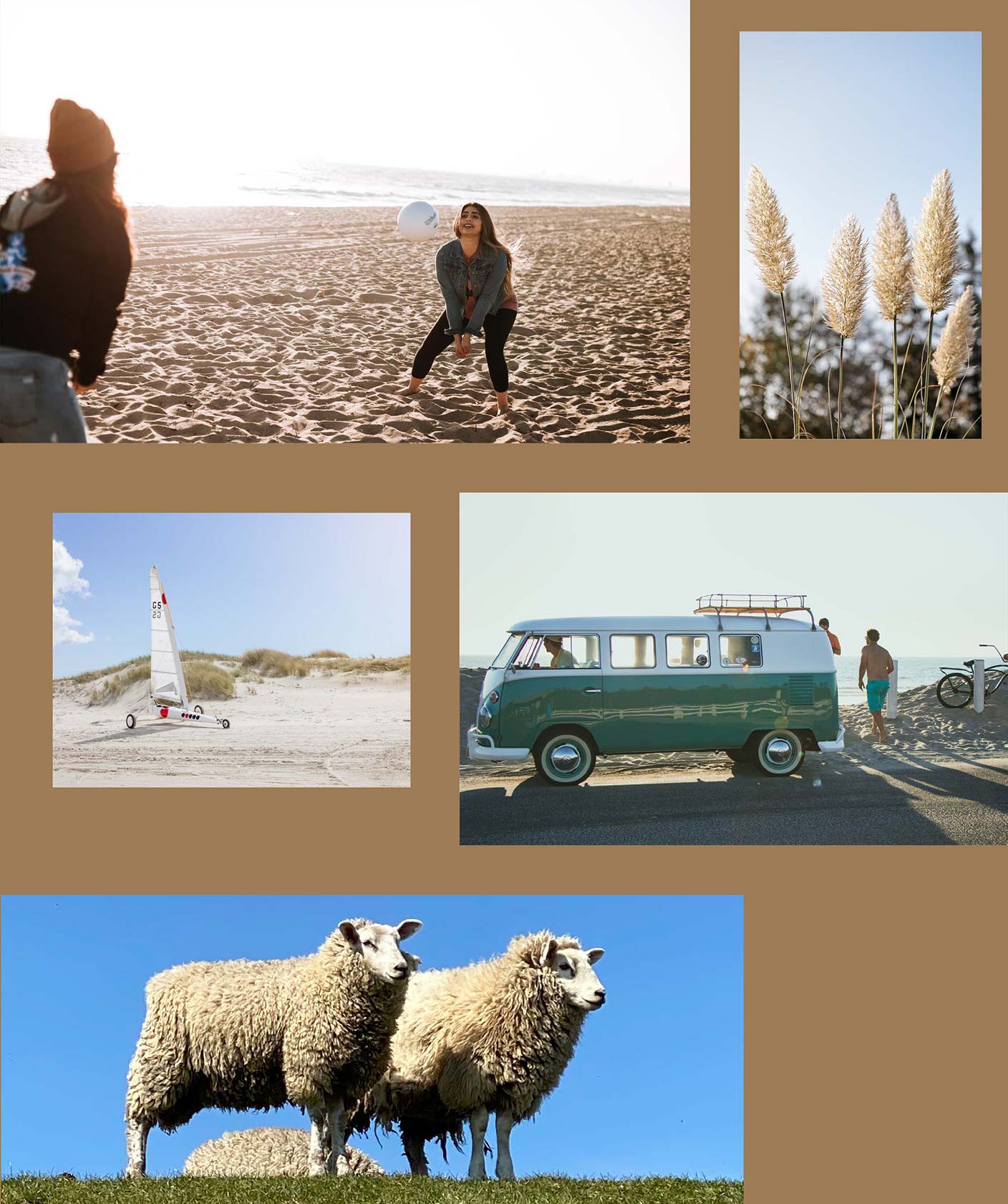 Fotogalerie: Beachvolleyball, Strandsegeln, VW Bulli, Flora und Fauna